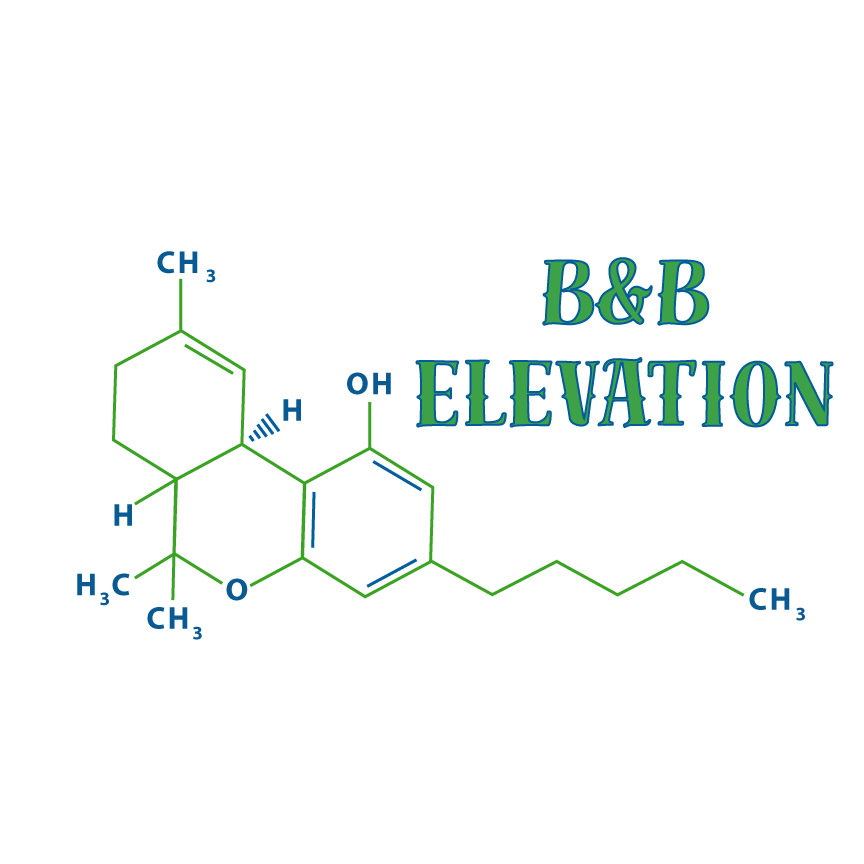 B&B Elevation Logo - Construction company logo design